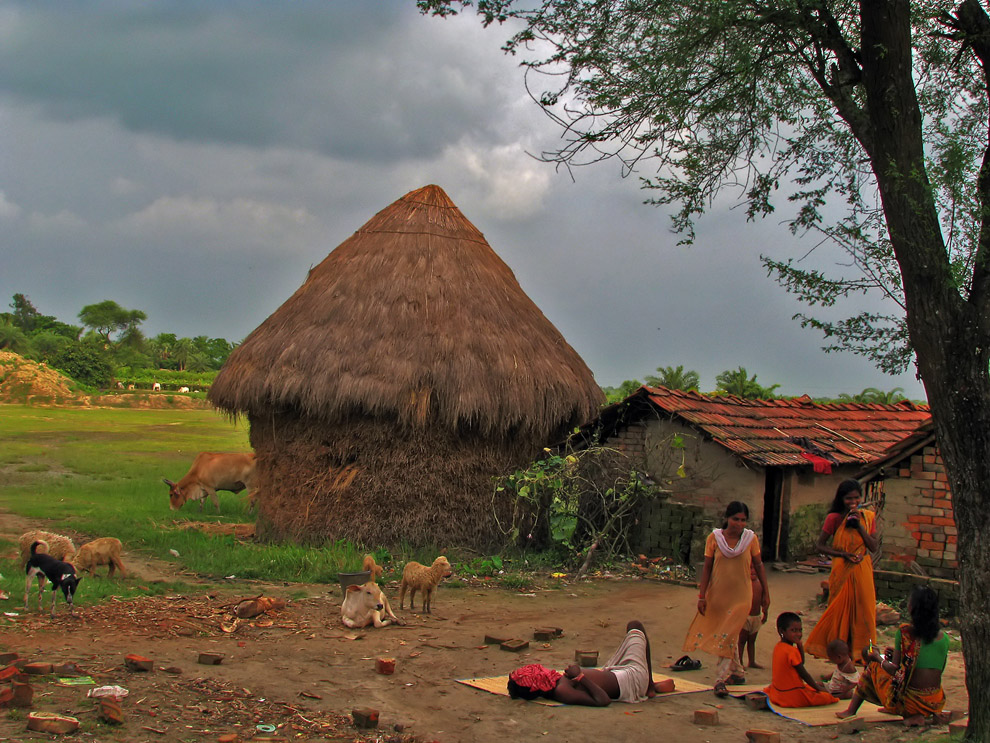 Healthcare NGO Success